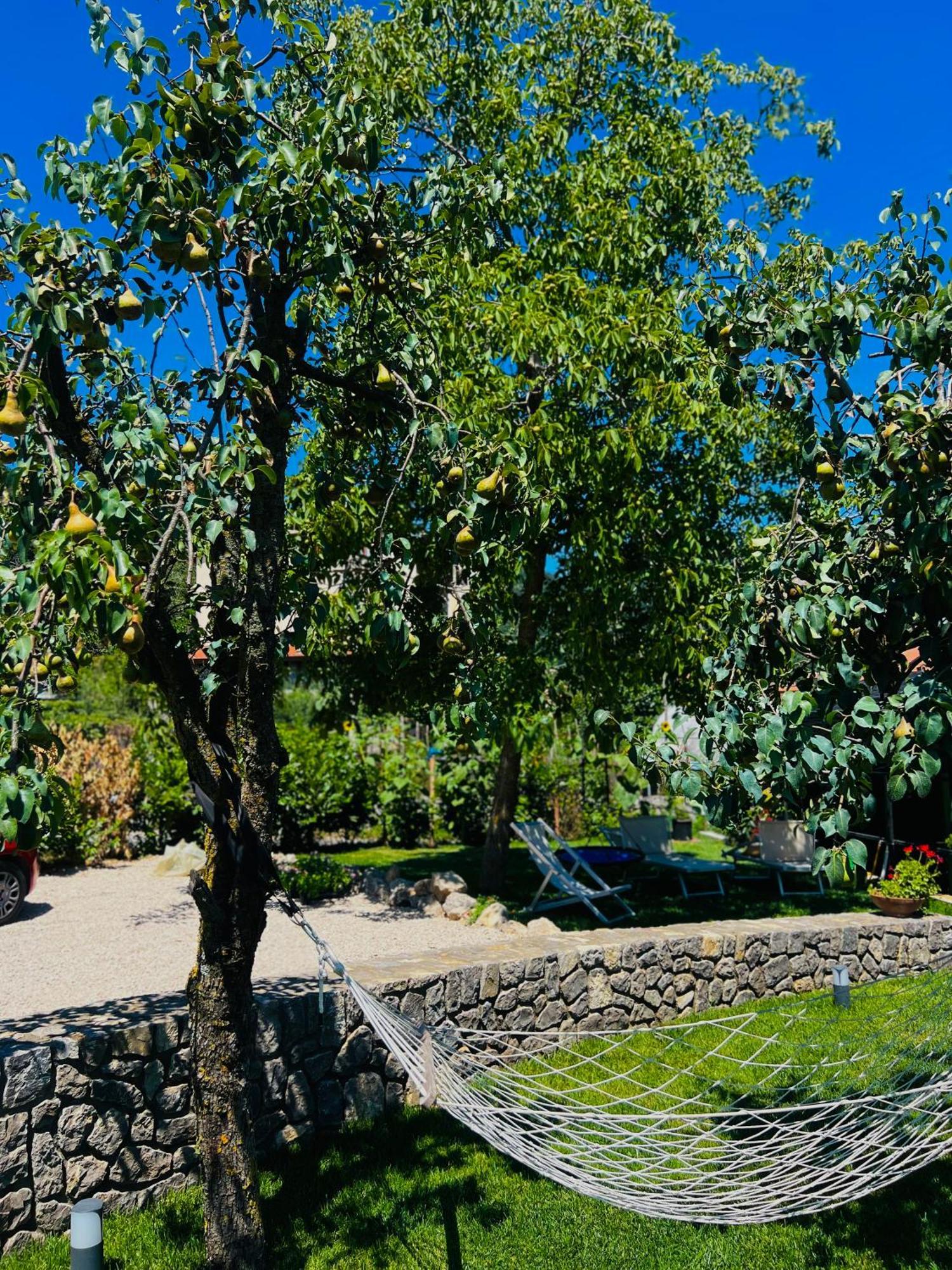 Dolce Risveglio Villa Agerola Kültér fotó